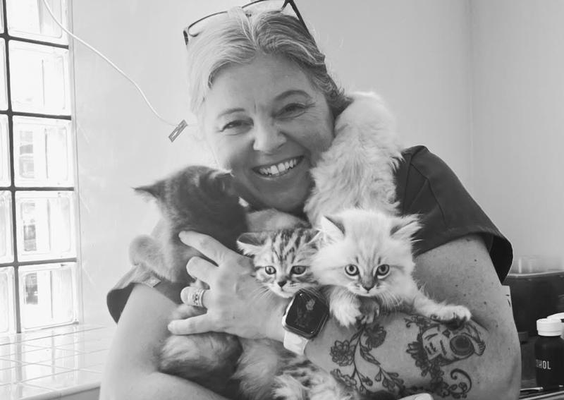 Carousel Slide 6: we love Kitties