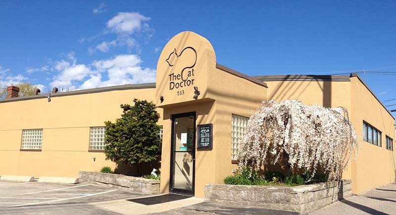 Portland veterinary hospital