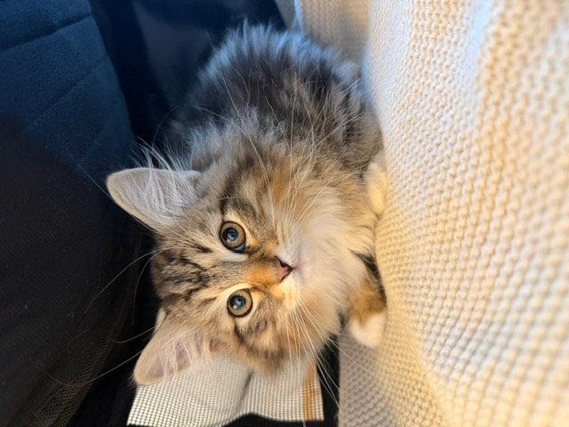 Education and training programs